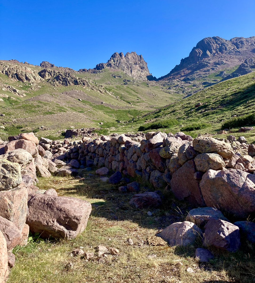 Albertini Battì tweet media