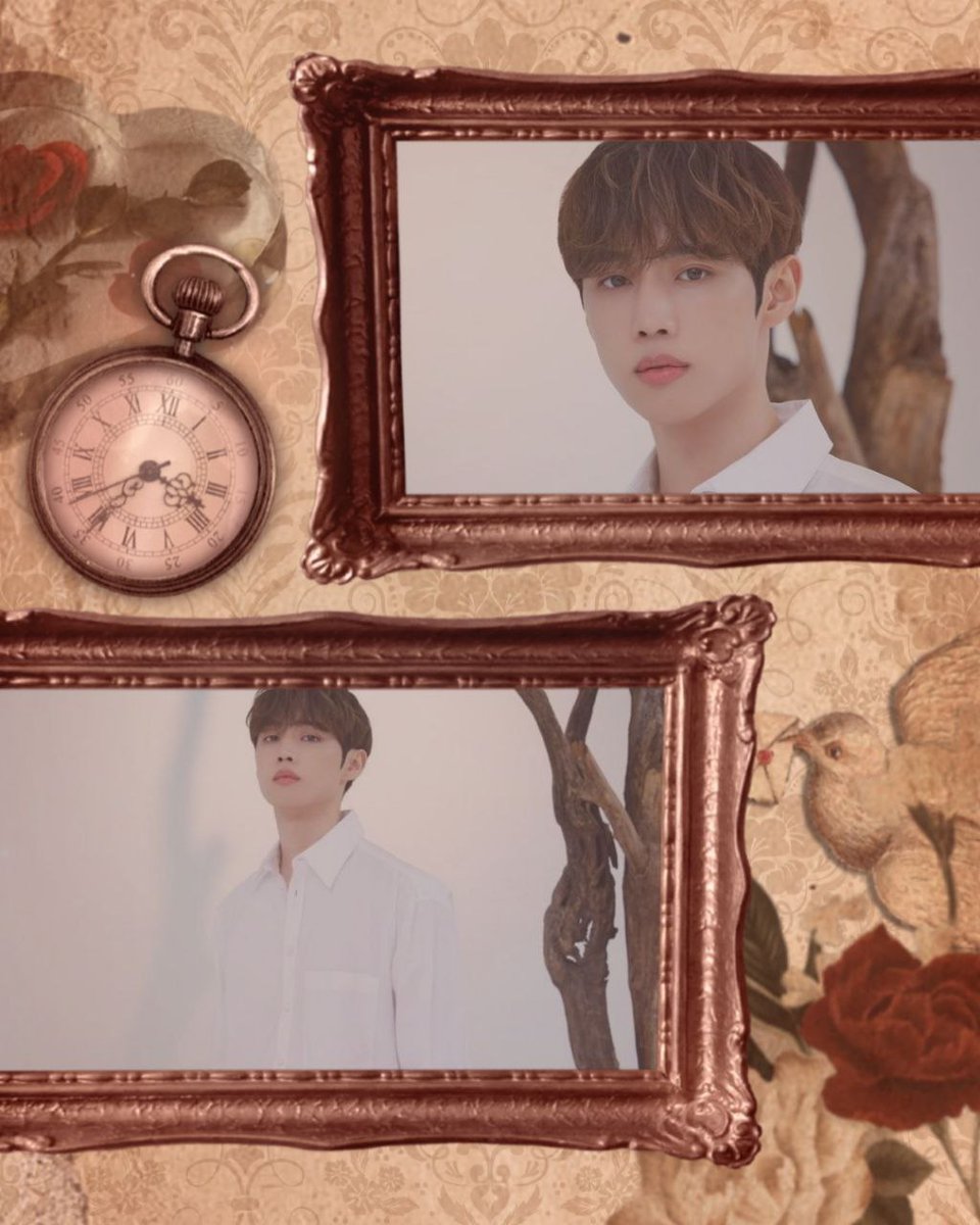 toshi ⛓️ tweet media