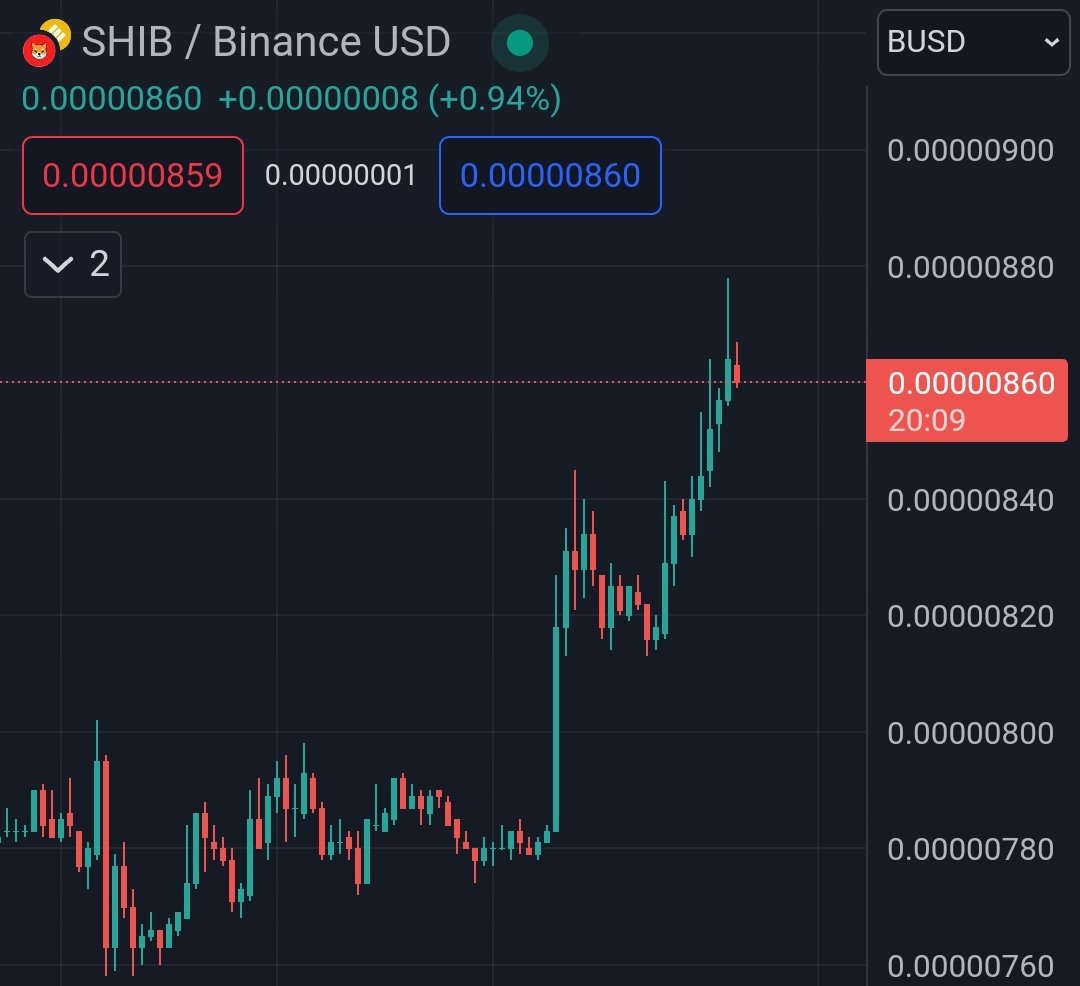 $SHIB KNIGHT tweet media