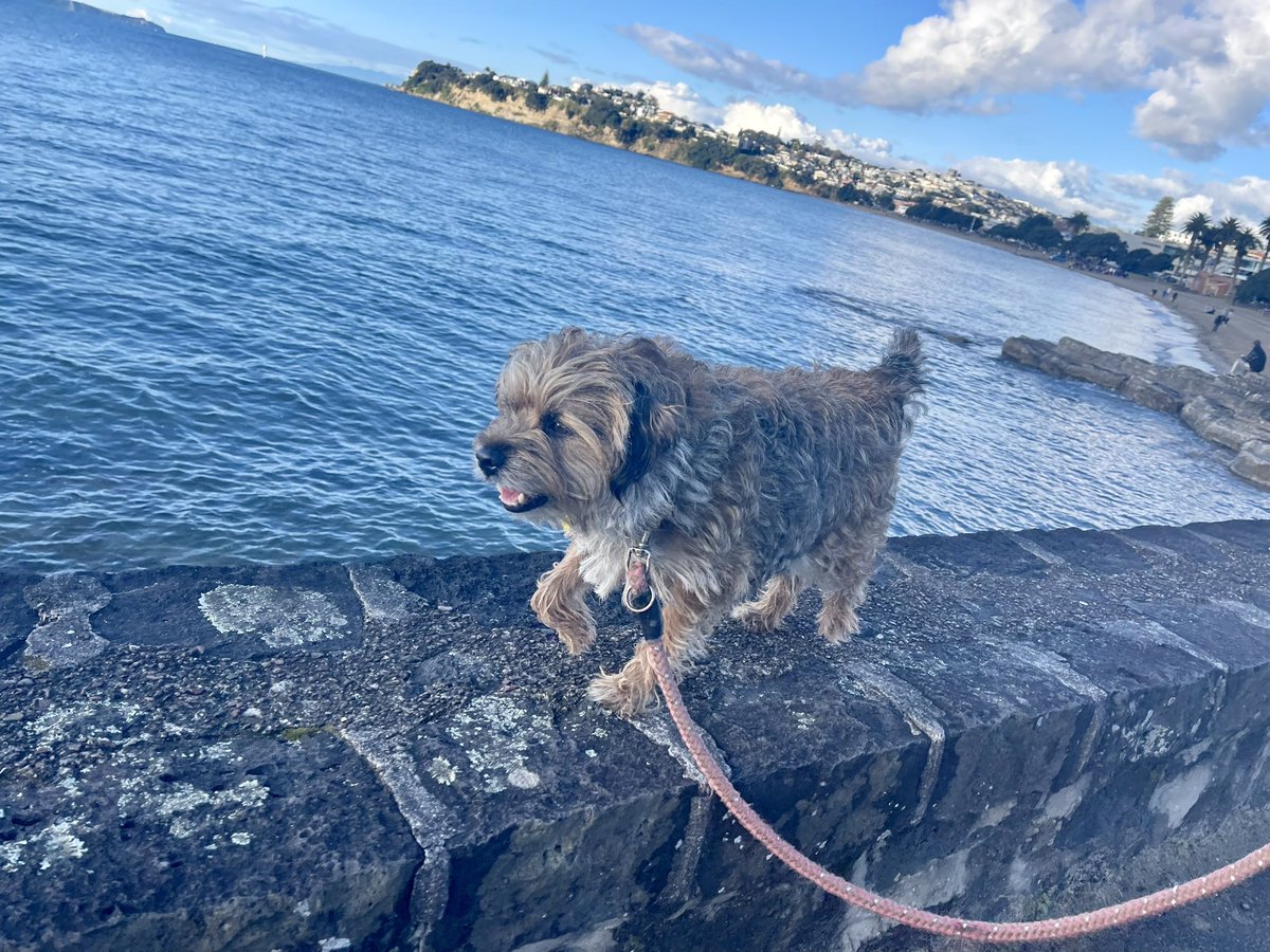 MossTheBT's tweet photo. Got my jaunt on! Happy SunYAY! #WallWalking #BTPosse https://t.co/garvmBTlwT