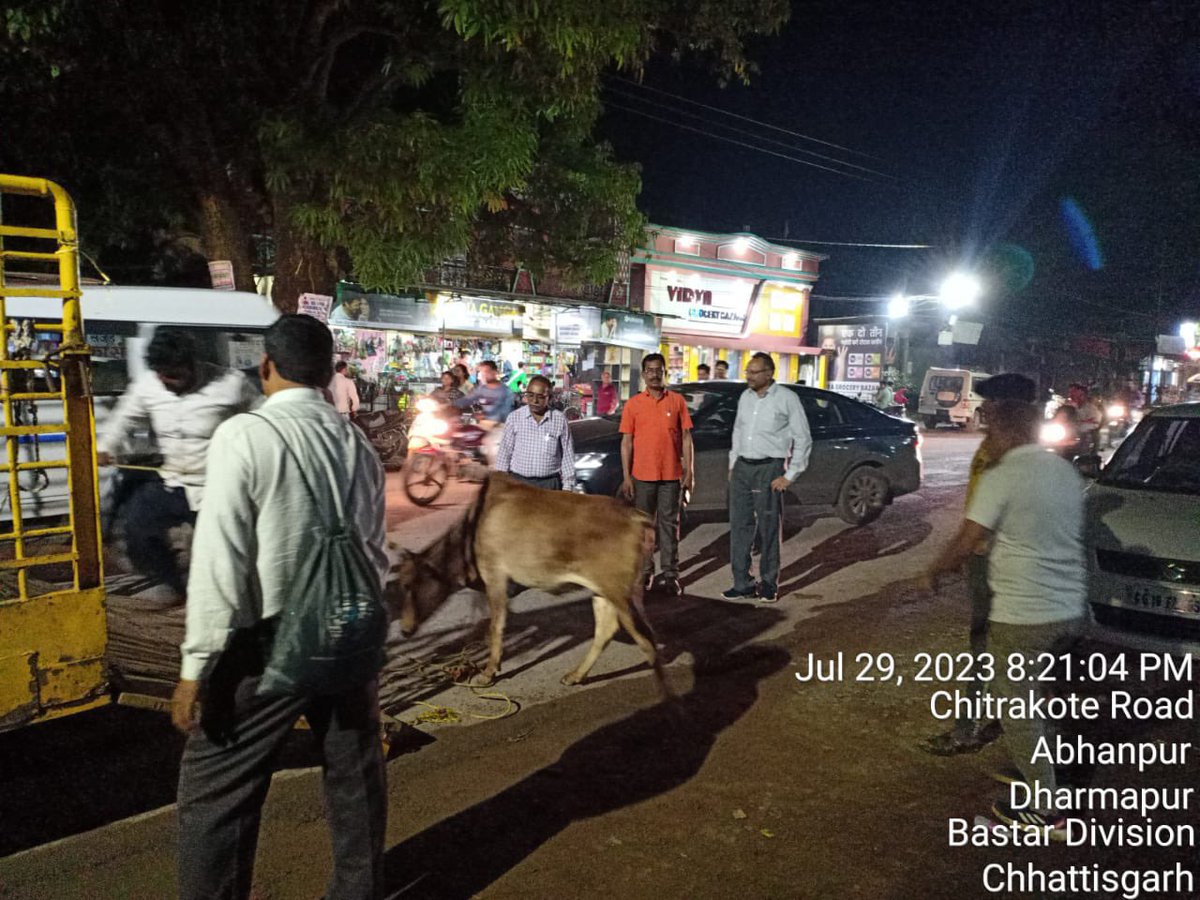 IASTripathiCG's tweet photo. #StrayCattles #JagdalpurChowks #NH30 #SH #JointActivity #ULBVeterinary #Tagging #RefectiveBelts #INAPH @ChhattisgarhCMO @RChoubeyCG @KPSingh_IAS https://t.co/GZPYN8OSYe