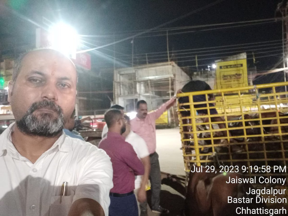 IASTripathiCG's tweet photo. #StrayCattles #JagdalpurChowks #NH30 #SH #JointActivity #ULBVeterinary #Tagging #RefectiveBelts #INAPH @ChhattisgarhCMO @RChoubeyCG @KPSingh_IAS https://t.co/GZPYN8OSYe