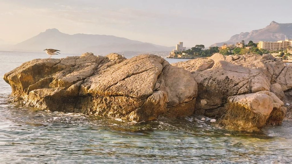 lady__silvy's tweet photo. #angolodiparadiso
#siciliabedda
#summer2023 
#picoftheday 
#30luglio2023
#relax
#peace
#sea 
#mood
#Sunday 
#vibes https://t.co/Pb2JOMmhAn
