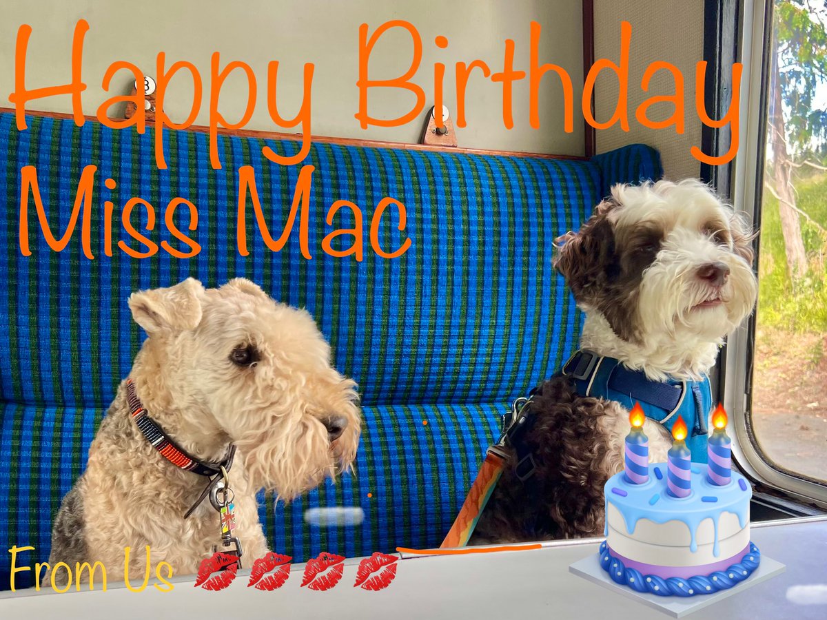 Bertie Lakeland tweet media