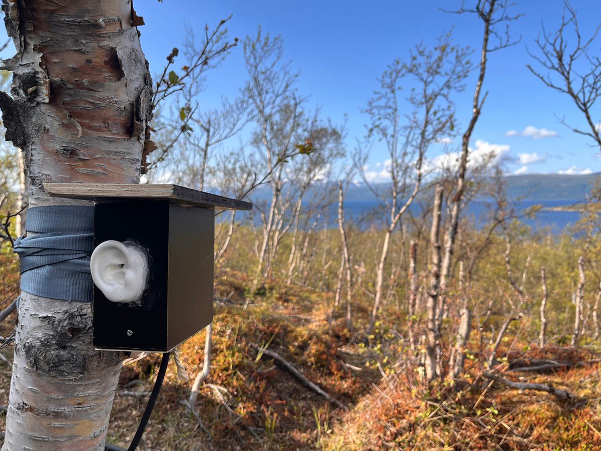 AccessAbiskoValues tweet media