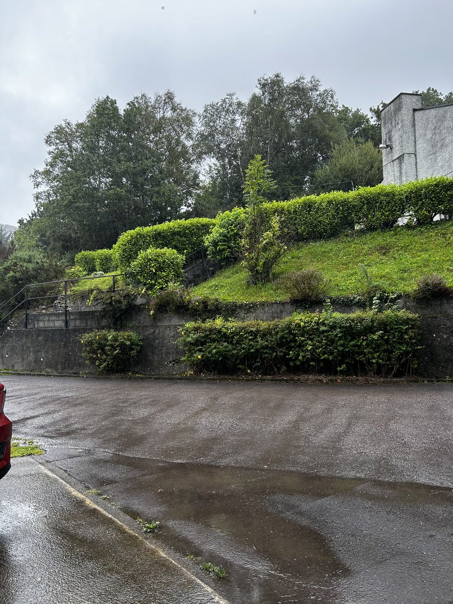 Knew the weather wouldn’t last, just a grand soft day in Co.Cork!