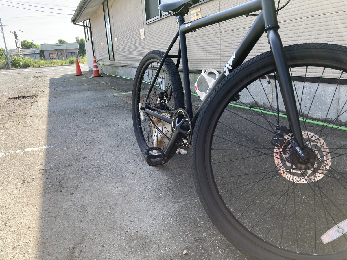 onechan1977's tweet photo. マウンテンバイクに猫が寄ってきて懐かれたっ！

そこっ、何もでないけど…。 https://t.co/La3hJ5LU22