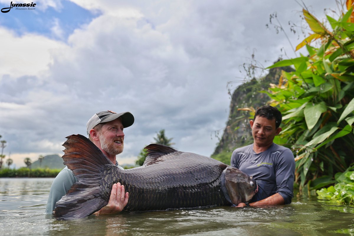 FishJurassic's tweet photo. Every day would be better if it began with a big carp!
https://t.co/lhDzXTxgPA
enquiries@jurassicfishingthailand.com
#JurassicMountainFishingPark #Fish #Carp #BigCarp #GiantSiameseCarp #CatlocarpioSiamensis #Fishing #Angling #CarpAngling #PredatorAngling #AnglingAdventure https://t.co/sCxyFCmU9t