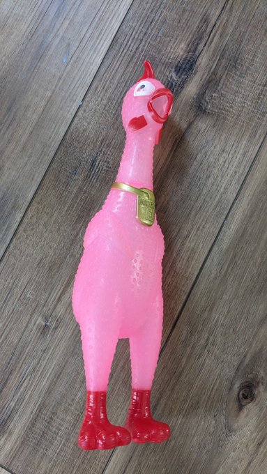 This is NOT what I meant when I said choke the chicken... https://t.co/FWA9l7VXcX<a href="/tag/shoppingsaturday"class="tags"><span>#shoppingsaturday</span></a>