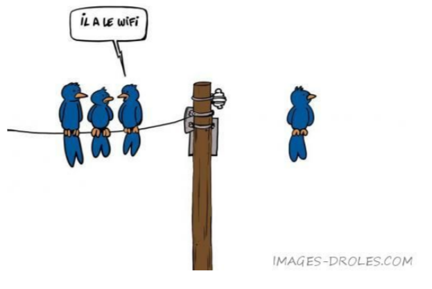 Planet Sans-Fil tweet media