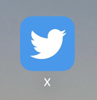 N 🫒 tweet media