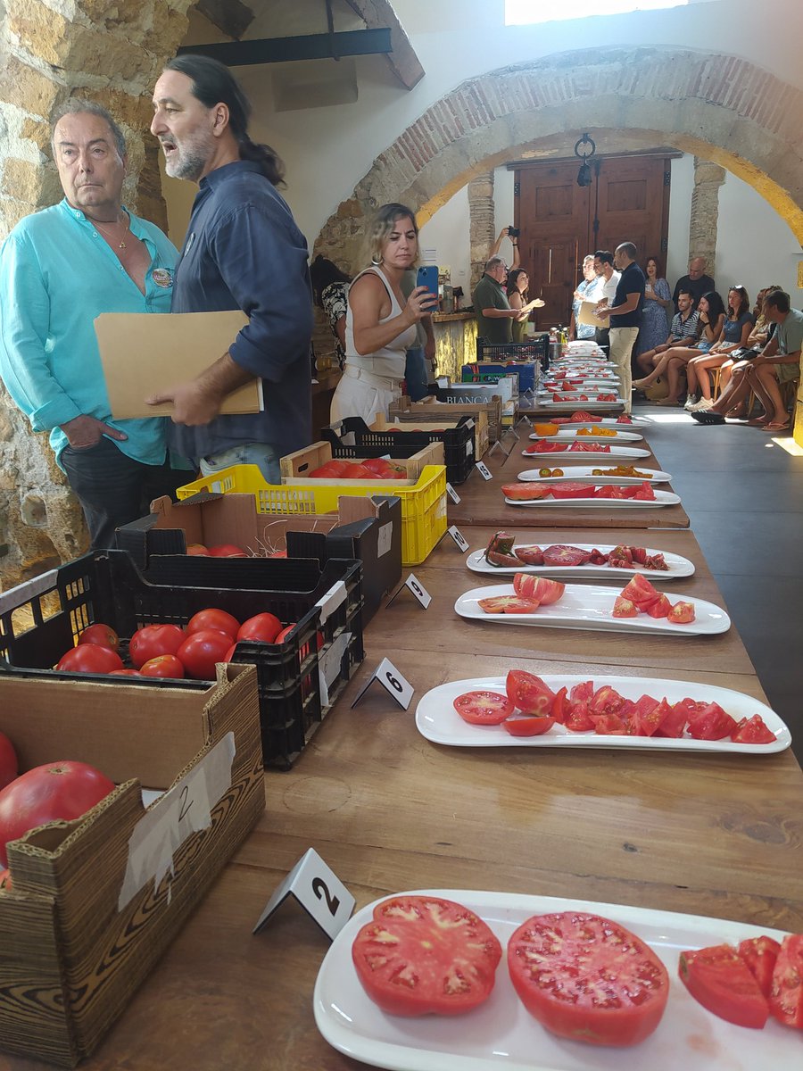 cook_eat_dream's tweet image. 🍅Buscant ara la millor tomaca de la Marina. En @elsmagazinos . 
@AEHTMA @ayto_denia