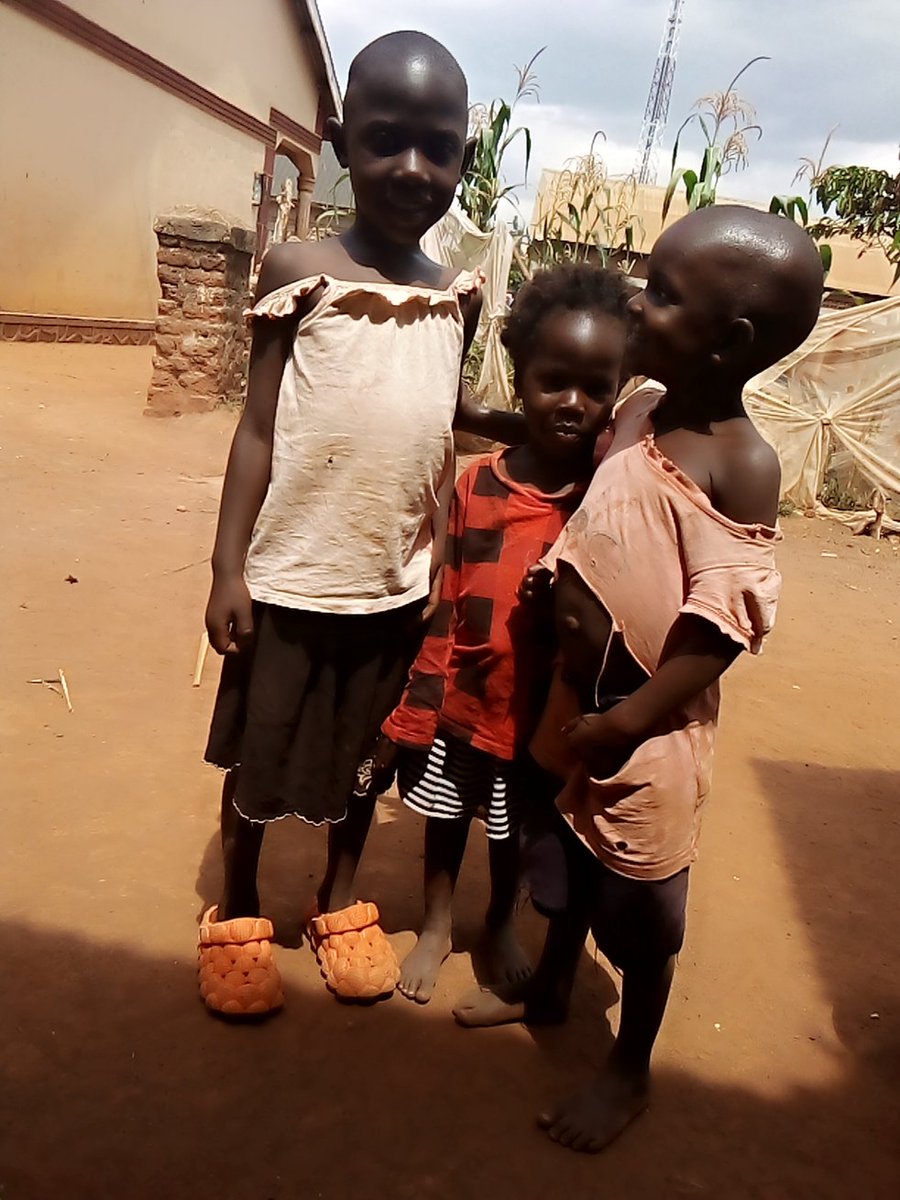 We kindly requesting for your help