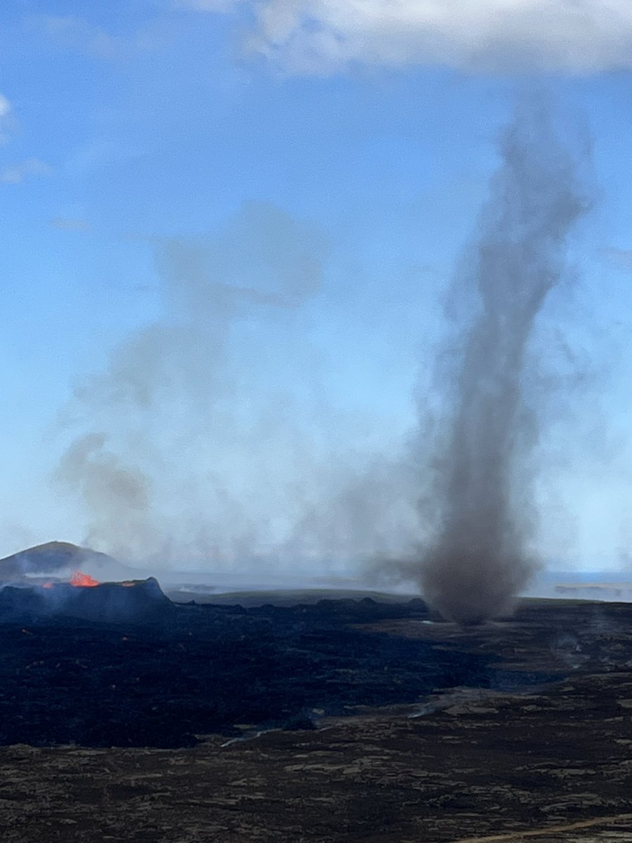 Verena Graichen tweet media