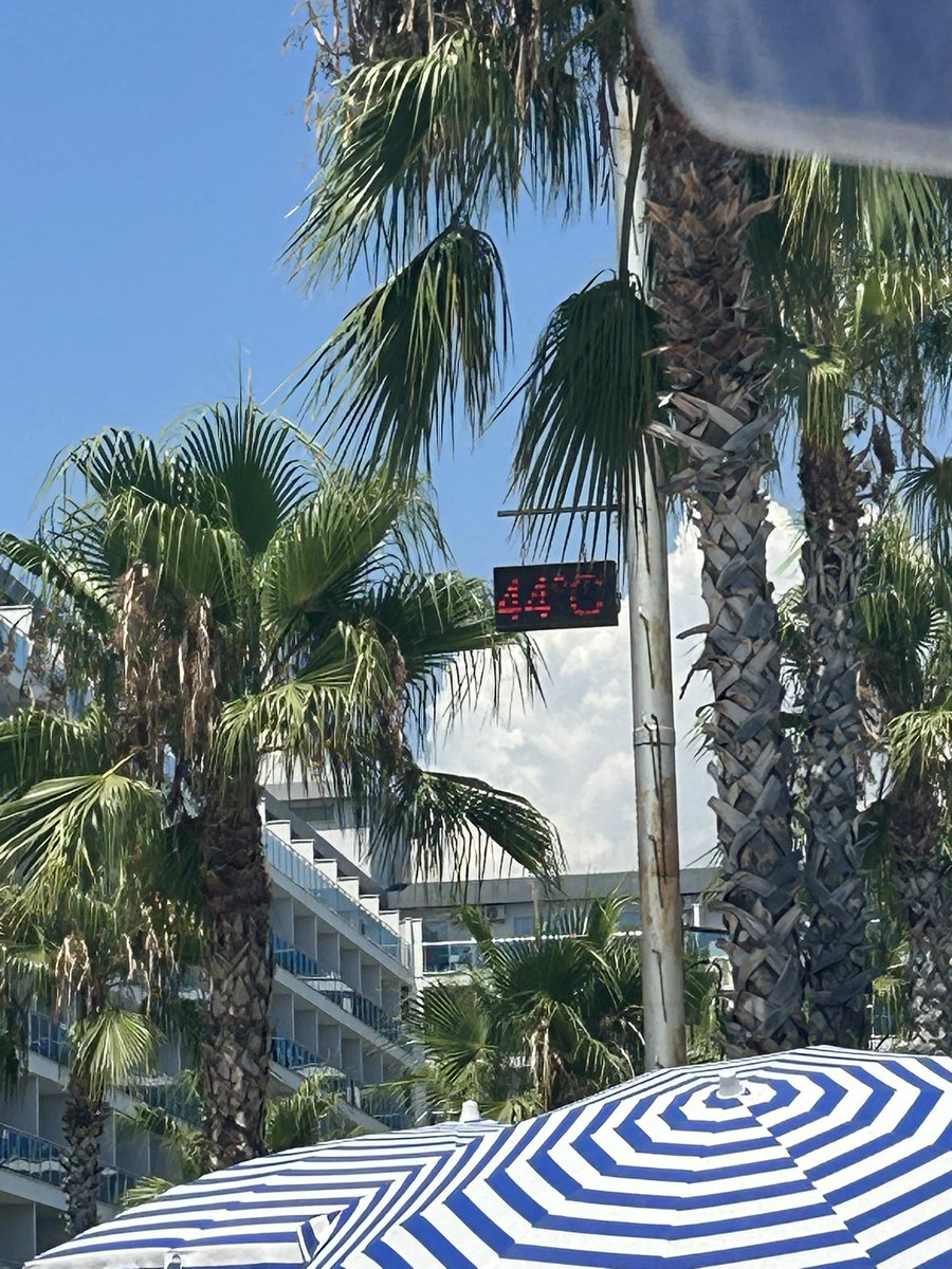 KIsaksen81's tweet photo. Swimming and cocktail drinking are the only sensible exercises here ☀️🏊♀️🍹@MrKWhiting … #peerpressure #motivationtomove https://t.co/YCnzB98JK6