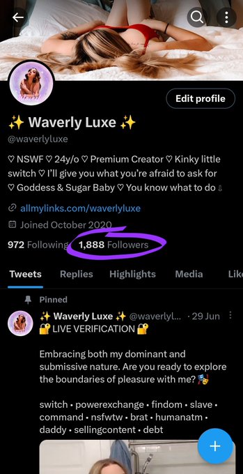 waverlyluxe