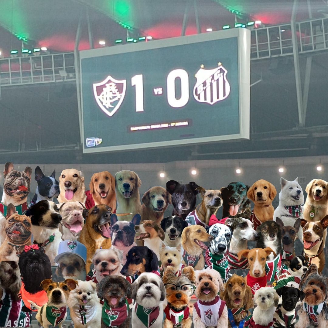 _dogflu_'s tweet photo. Sobre ontem... Dogflu sempre na torcida! https://t.co/L5tXWxb1dC