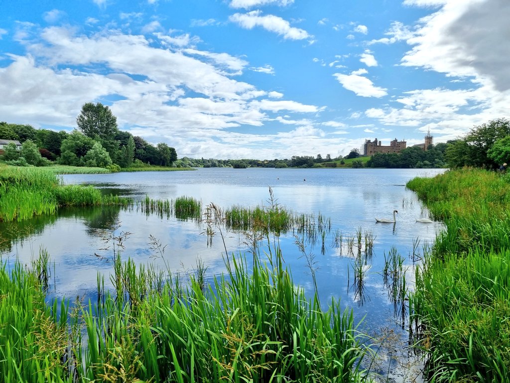 LStewart_books's tweet photo. A walk round Linlithgow Loch
#SundayFunday #Loch #WeatherUpdate #Scenery #clouds #Scotland https://t.co/tuab7Fnds2