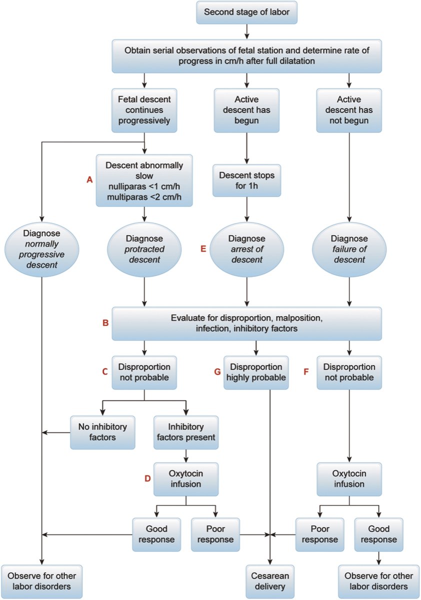 AJOG_thegray's tweet photo. AJOG Expert Review in Labor:  The second stage of labor - Management of the second stage of labor https://t.co/T5thHLjr9O https://t.co/B5OAoQAJiS