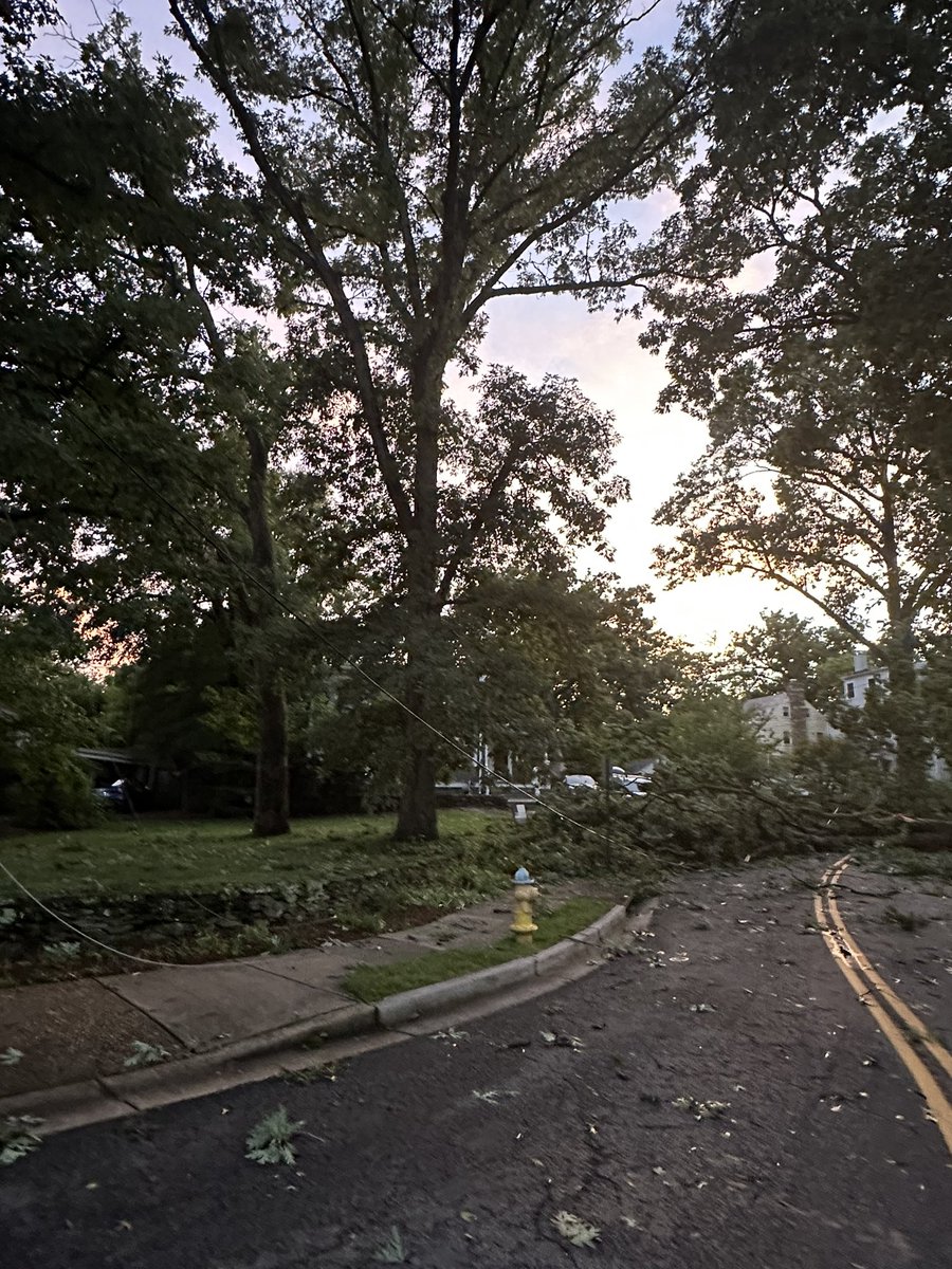 APSChristensen's tweet photo. @RyanMiller_WX @nbcwashington In Arlington off Jackson St https://t.co/kx7B2IQYmy