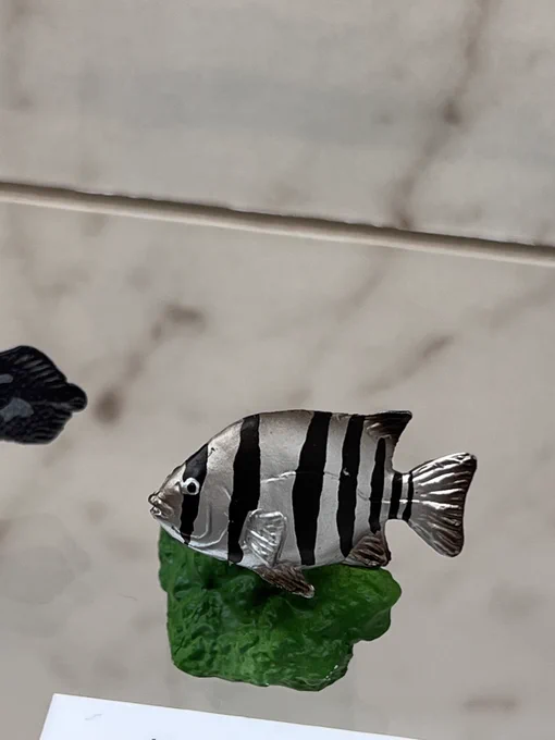 サカナー、チンアナゴー、ダークエルフ村