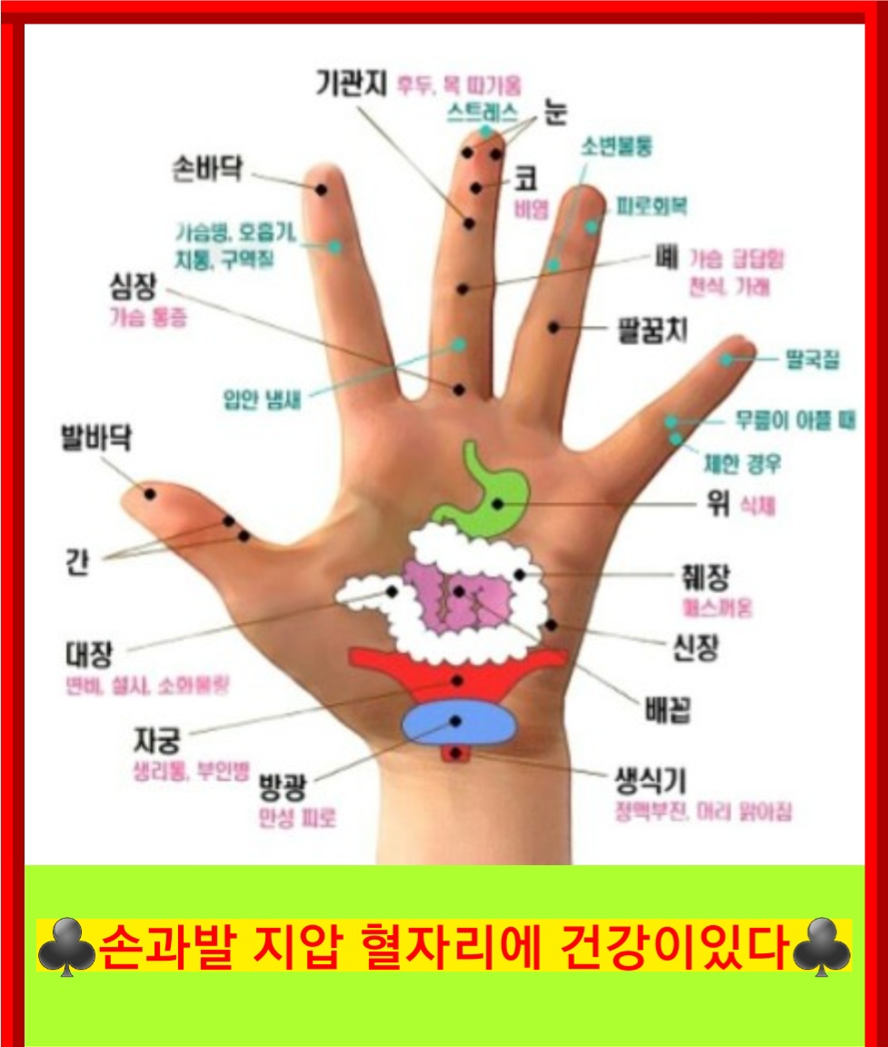 유튜브 개그BJ준/애니크린CEO/비트코인rt (@anygay) / Posts / X