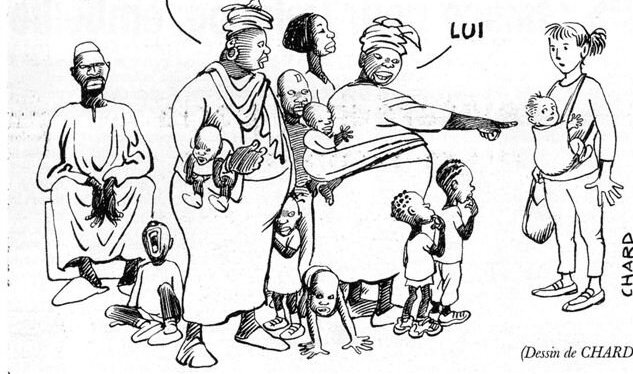 🇫🇷🌿HASTA LA RECONQUISTA‼️🌿🇫🇷 tweet media