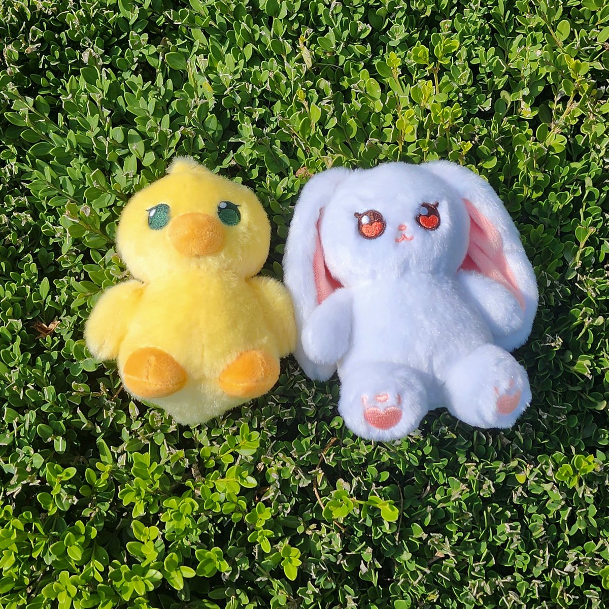 리리(LiLi)/츄니(choony) tweet media