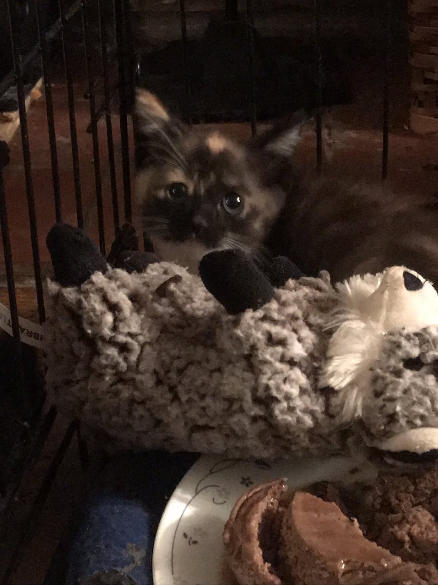 Kel Byron | Author 👁️ tweet media