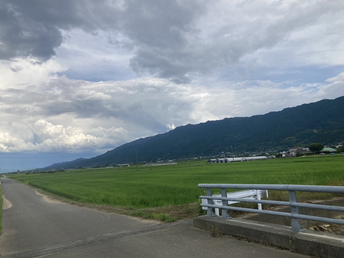ao_Rize's tweet photo. クソ緑 https://t.co/61WKJnr7ZN