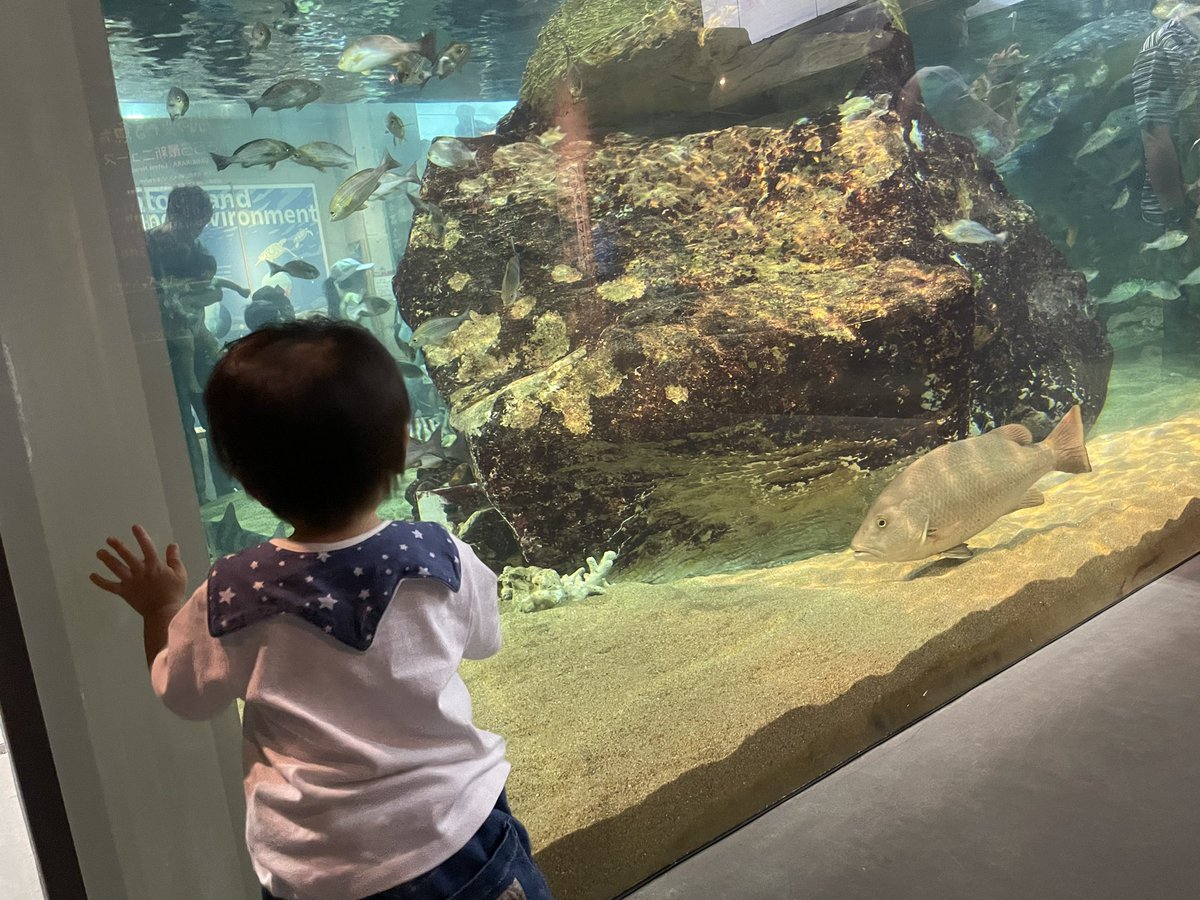 AWABInoHIMITSU's tweet photo. 久々の日曜休みで水族館へ🐟 https://t.co/Zczrs8IGIl