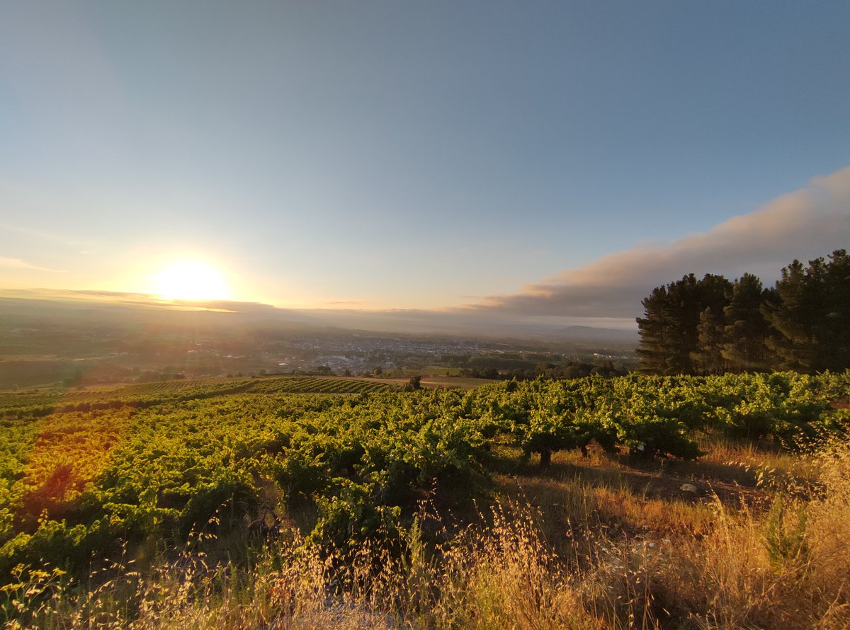ConcienCEA's tweet photo. El #Bierzo es realmente #AutisticFriendly. Aquí se respira paz y tranquilidad. Soy muy afortunada de vivir aquí.
#MundoRural #LaEspañaVaciada. https://t.co/p4JQUAwLL2