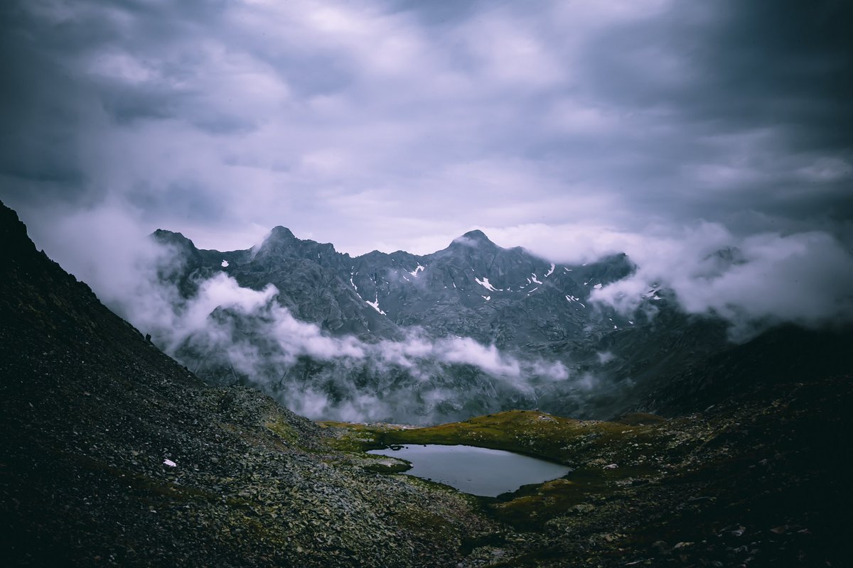 4Ro Photos tweet media