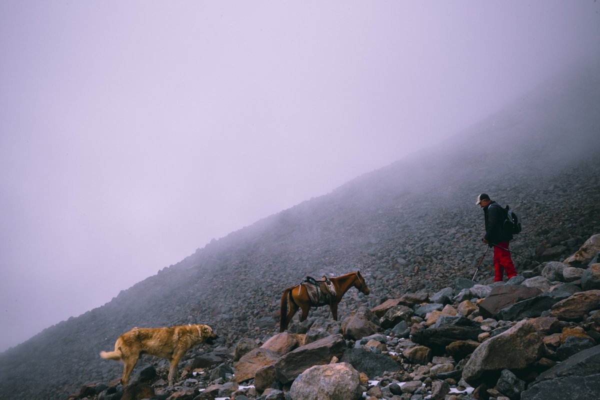 4Ro Photos tweet media