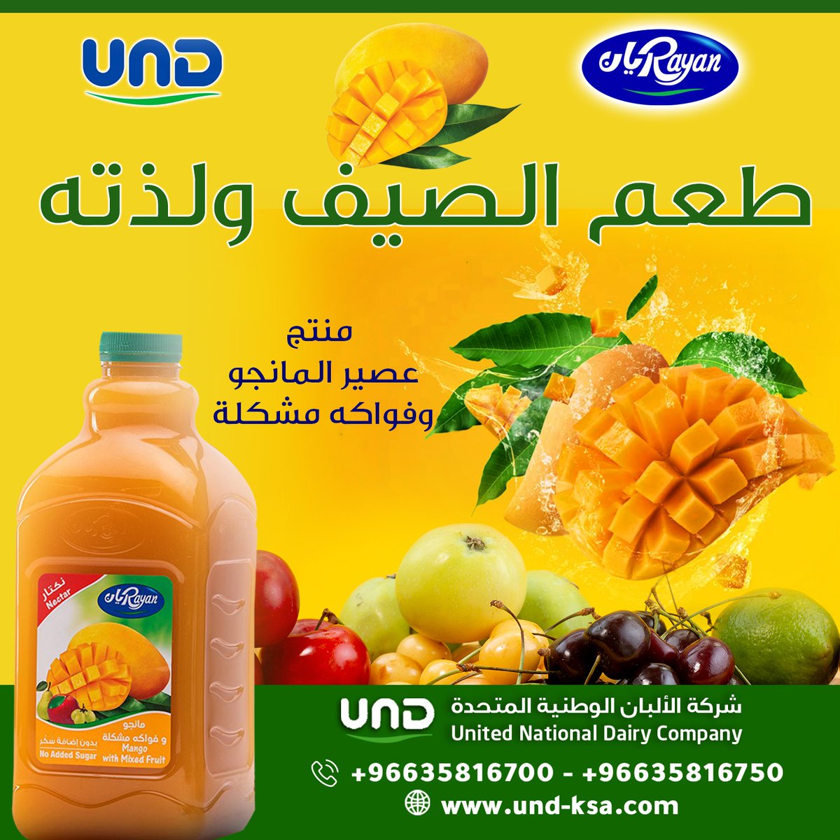 Rayan ريان tweet media