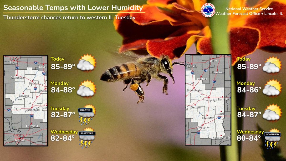 NWS Lincoln IL tweet media