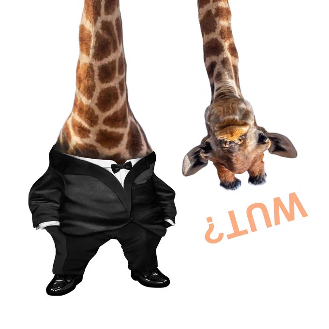 F2RGR4oXcAE0eRu?format=webp&name=small