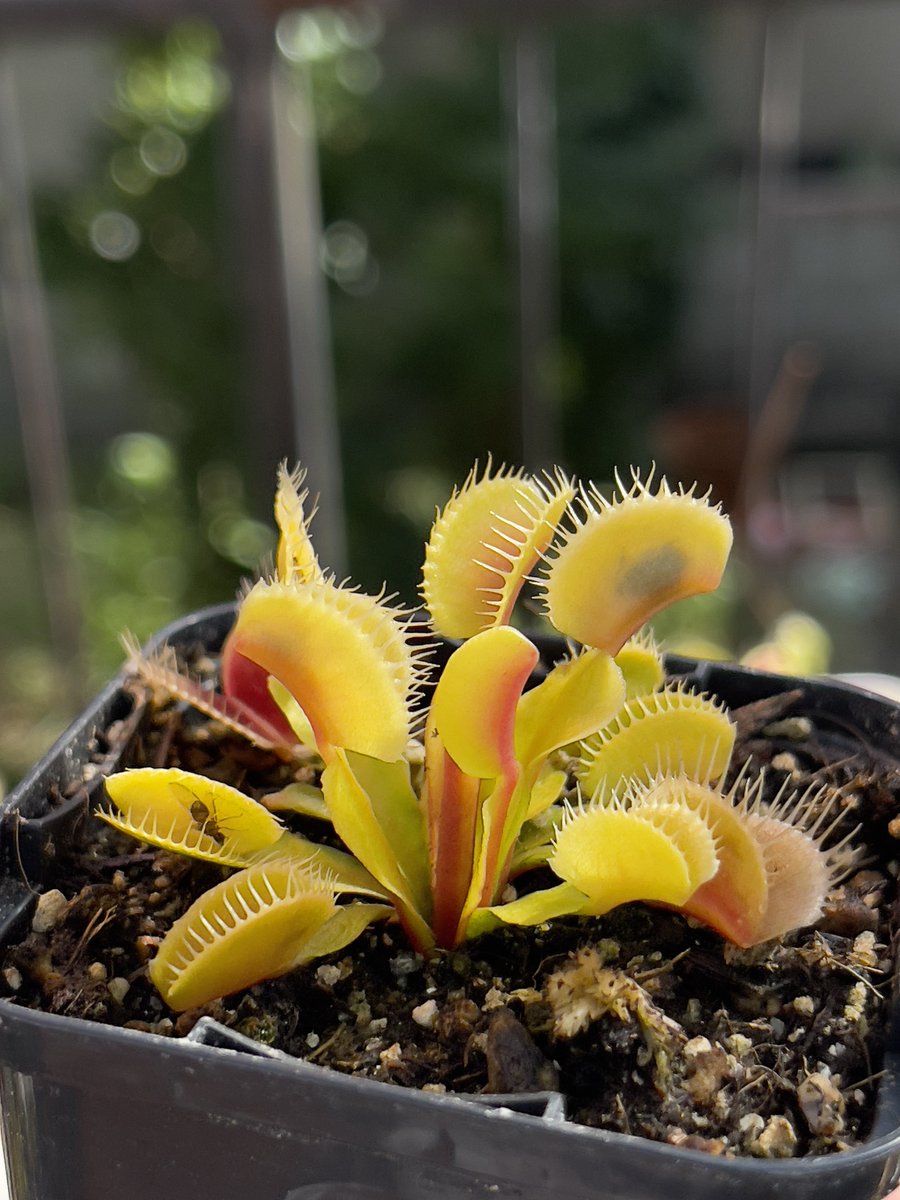 さっきまで仕事で野外に居たにもかかわらず帰宅後直ぐにクーラーでは