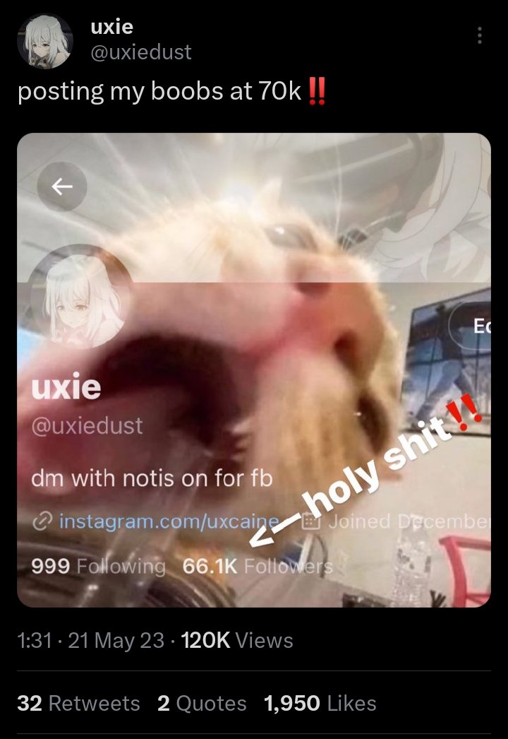 uxcaine's tweet photo. uxie just hit 70k you know what happens now https://t.co/ExwYmZkkFJ