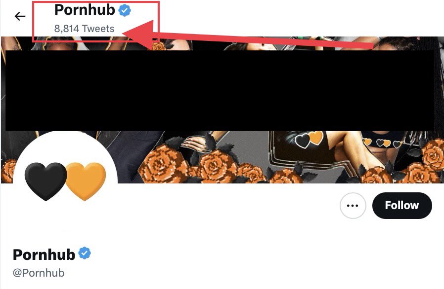 Laila Mickelwait tweet media