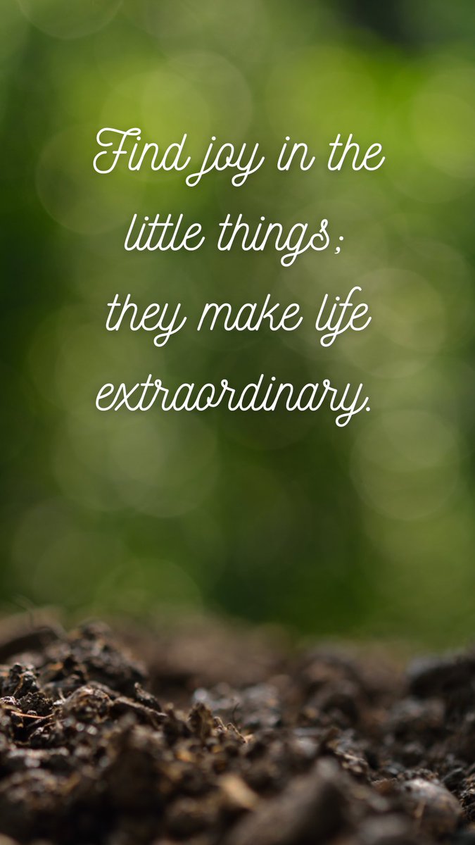 "Find joy in the little things; they make life extraordinary." #Gratitude #Optimism