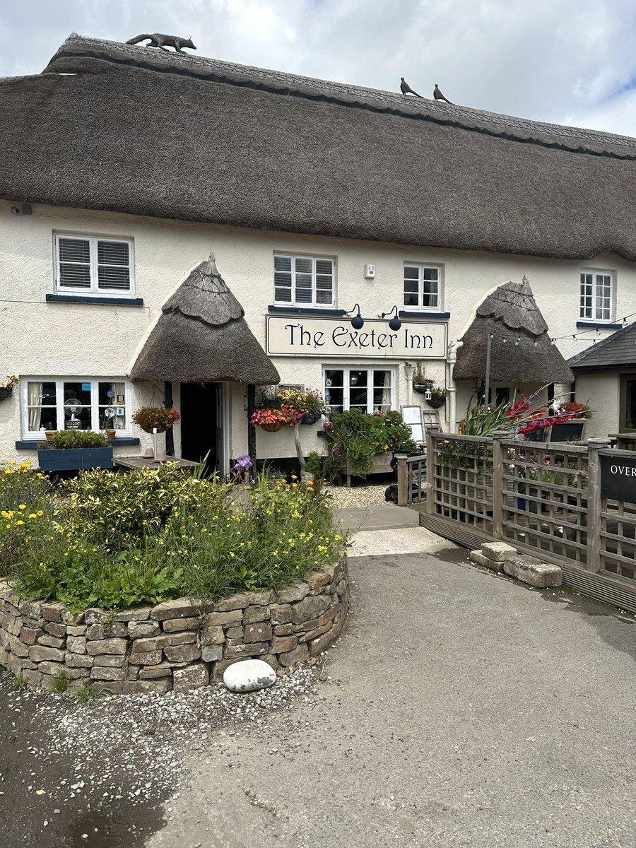 MaricielZ's tweet photo. What about the pubs? With Franky the pubdog 😍.

#Devon
#Exeterinn https://t.co/k6UYBn3As2