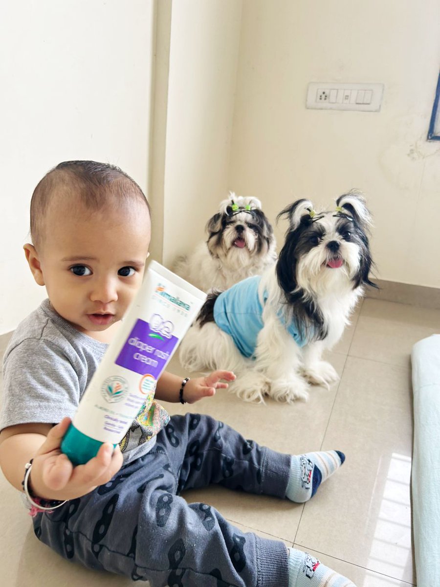 Gupta87's tweet photo. @HimalayaIndia 
Not only for my wellness but also my favorite toy.. 
@Capi_Neha 
#babyboy 
#playtime 
#puppylove https://t.co/FdHJ1JKX9w