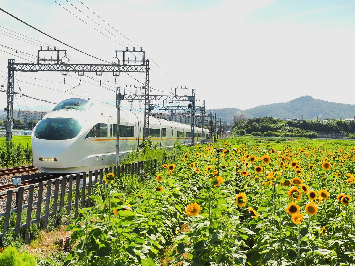 Nobuto87967705's tweet photo. 今日もVSEを満喫
#VSE
#omdem5mark2 https://t.co/aSHMEyHhPu