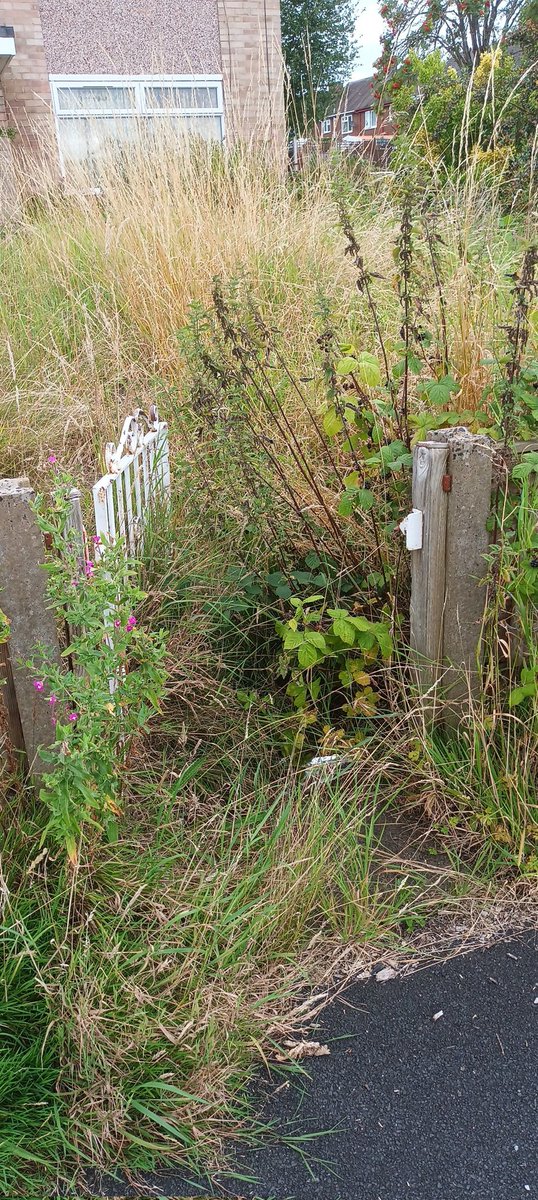 Street Solve tweet media