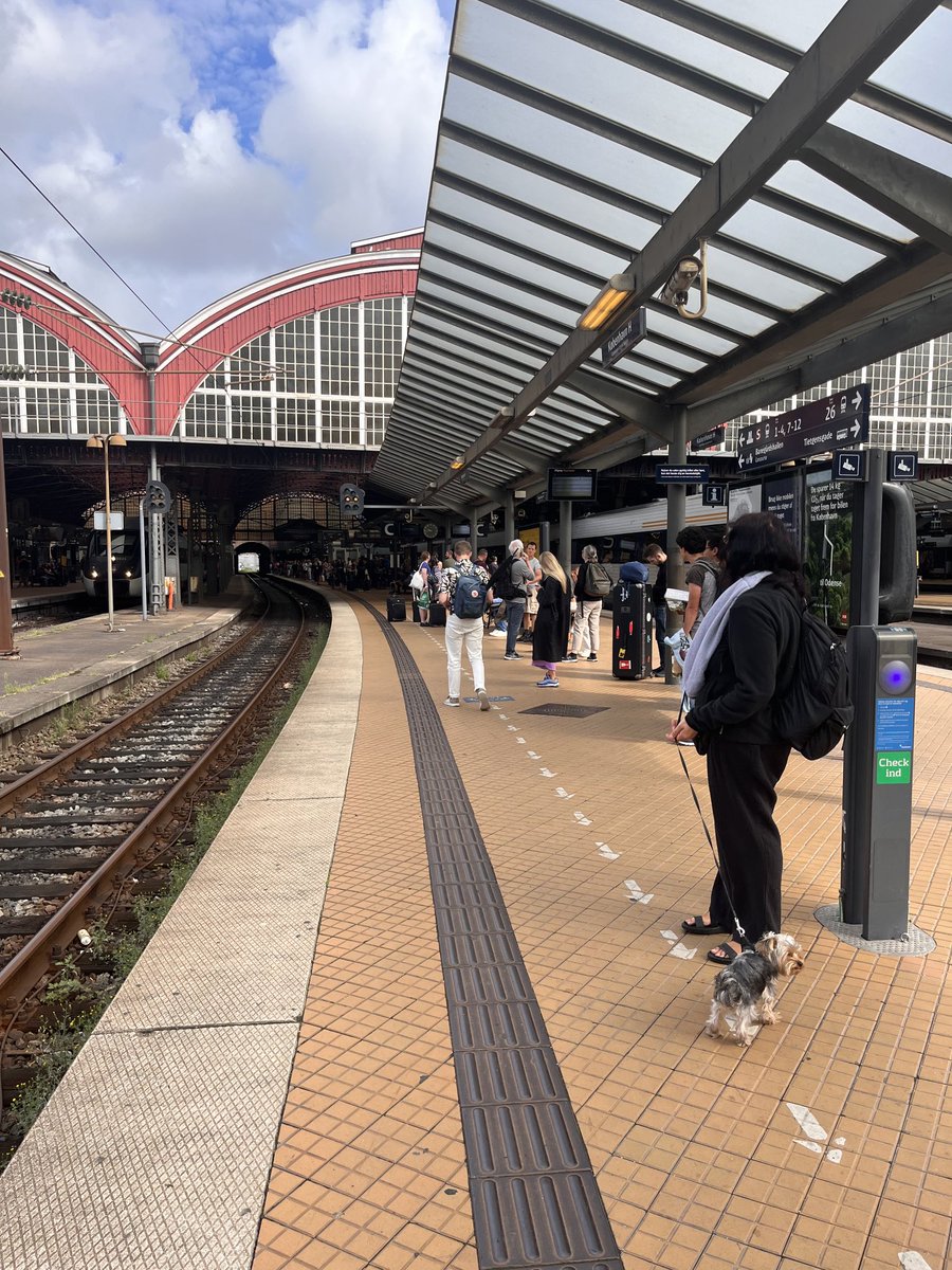 simonenright's tweet photo. And if we thought Deustche Bahn was bad - it is now the turn of the Danish trains to fall apart. Anyone would think the Dane’s don’t want us to leave for Sweden and Norway #interailing https://t.co/BDZhhkktGS