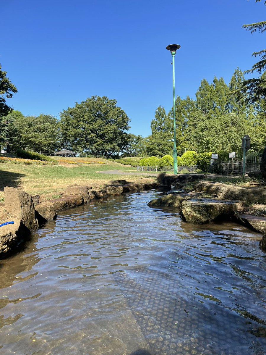 misonochan2's tweet photo. 今年初の大崎公園じゃぶじゃぶ池へ。
猛暑だからなのか、行ったのが午後だったからなのか、人少なめ？15時になると流水が止まるのでそれまでに行くのがよいね。
あとここの池は午前も午後もどこかしら日陰があってポイント高い🫶🏻 https://t.co/blzjIKk5SG