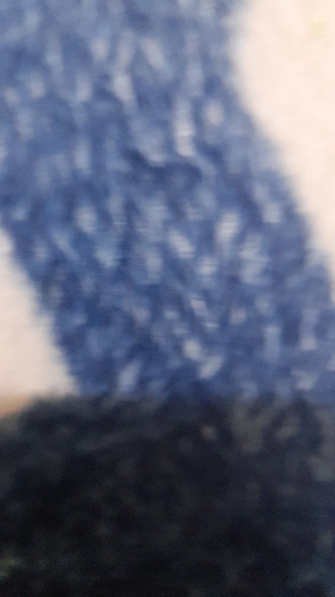 جمال البدوي (@jmal_albdwy) on Twitter photo 