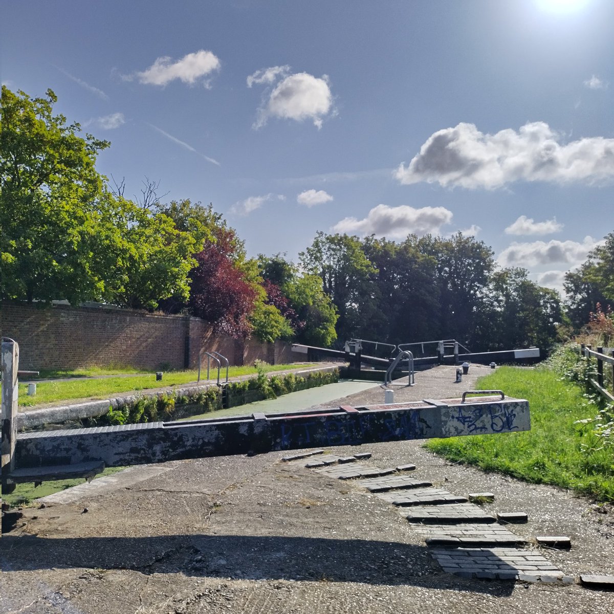 BookMinxSJV's tweet photo. Right here, at #hanwellflight lock 94, just moments ago at 8.32am, I saw my first ever kingfisher. An actual kingfisher. Am shaking. @WildlifeEaling @ThatVetSean @CanalRiverTrust. https://t.co/9q1xwdqFUz
