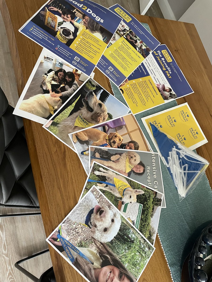 kmcgilchk's tweet photo. They’ll be a whole bunch of local @PetsAsTherapyUK dogs on a stand talking about volunteering in Devon @GreendaleFarm today. Come along and meet us 💛 maybe your establishment would like a visit? @therapydogmaise @TedTherapy https://t.co/NSPh0USpdo